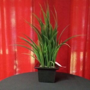 Green Faux Grass  Accent in Black Planter